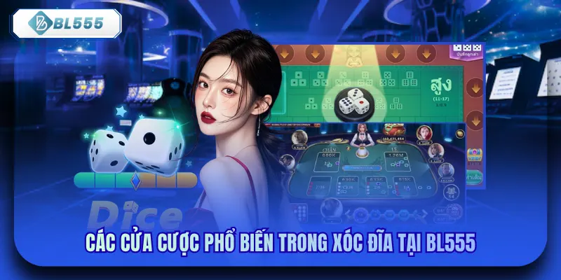 Các cửa cược phổ biến trong xóc đĩa tại bl555