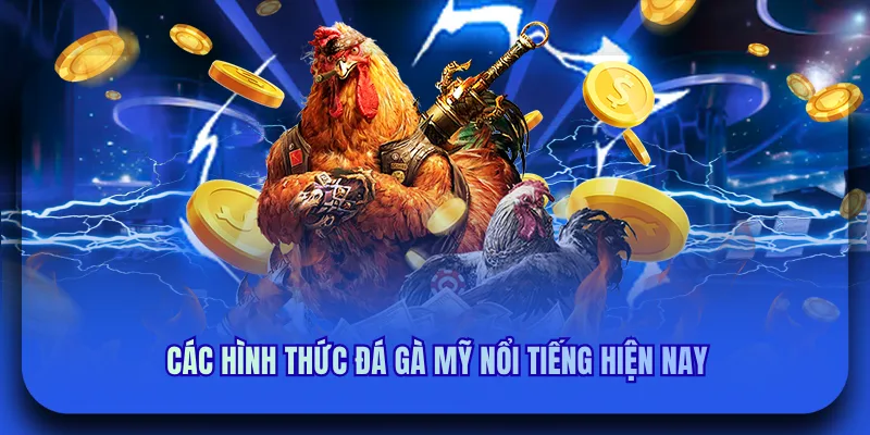 Các hình thức đá gà mỹ nổi tiếng hiện nay