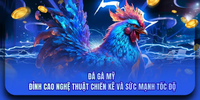 Đá Gà Mỹ - Đỉnh Cao Nghệ Thuật Chiến Kê Và Sức Mạnh Tốc Độ