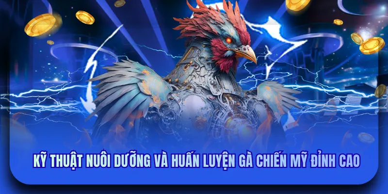 Kỹ thuật nuôi dưỡng và huấn luyện gà chiến mỹ đỉnh cao